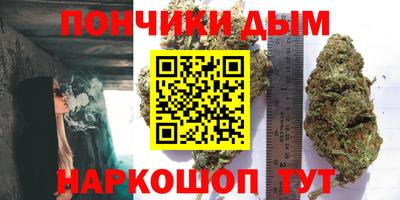 шишки Партизанск
