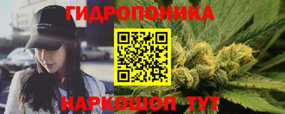 шишки Партизанск