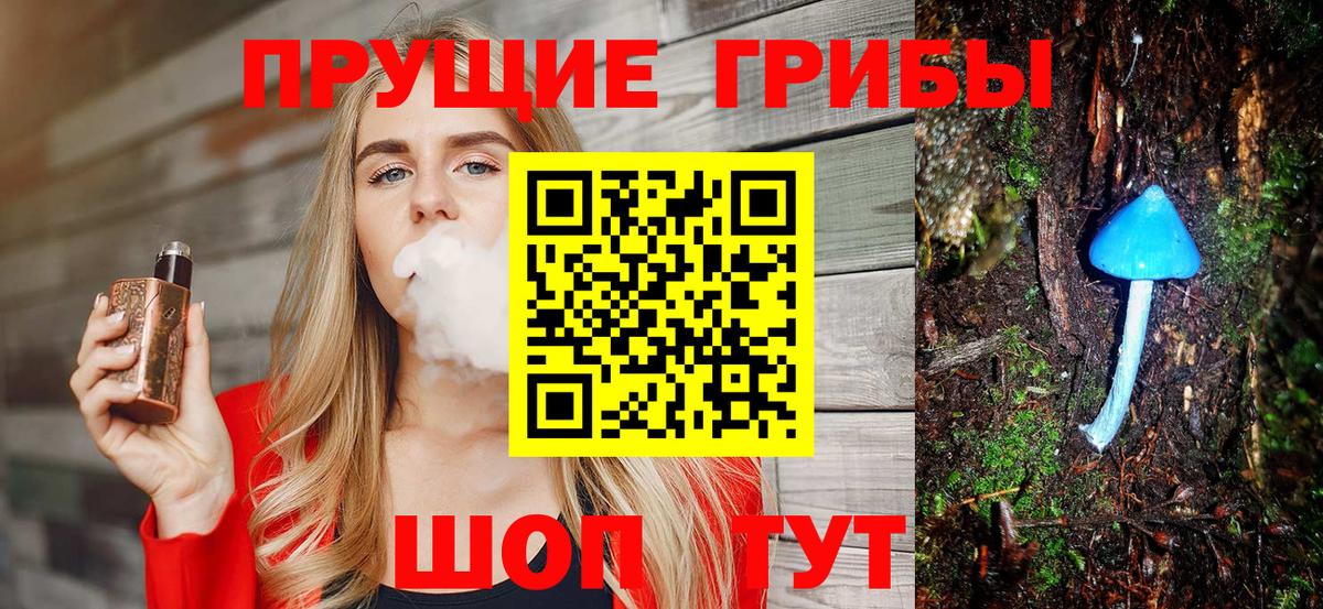 купить наркоту  Вход с VPN  Псилоцибиновые грибы Psilocybine cubensis  Свободный  Псилоцибиновые грибы прущие грибы 