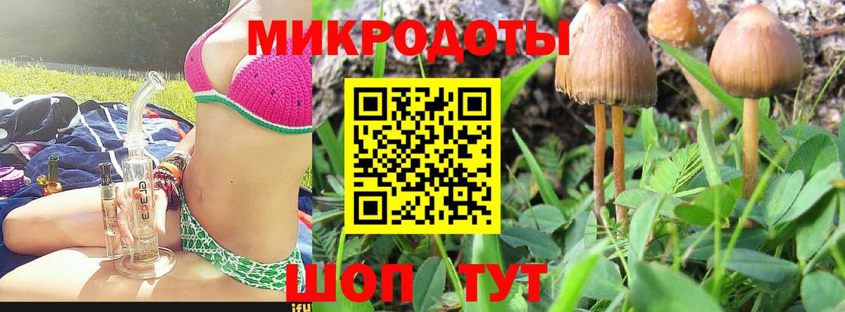 Галлюциногенные грибы Cubensis Свободный